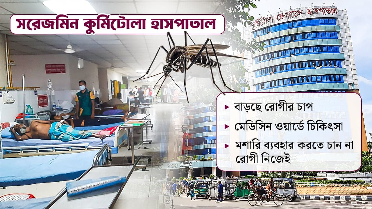 প্রতিদিনই বাড়ছে রোগী, মশারি থাকলেও ব্যবহার করেন না রোগী!- খবরের থাম্বনেইল ফটো