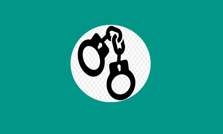 মহেশপুর সীমান্তে ভারতীয় নাগরিকসহ আটক ১১- খবরের থাম্বনেইল ফটো