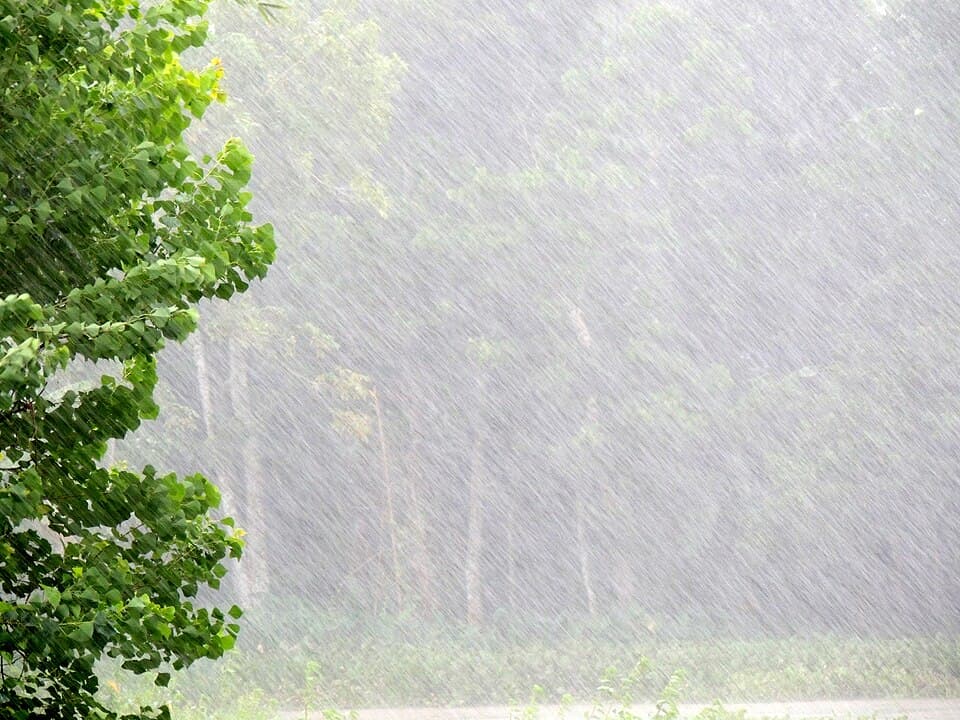 ঈদের দিন সারাদেশে কালবৈশাখীসহ ঝড়বৃৃষ্টির সম্ভাবনা- খবরের থাম্বনেইল ফটো