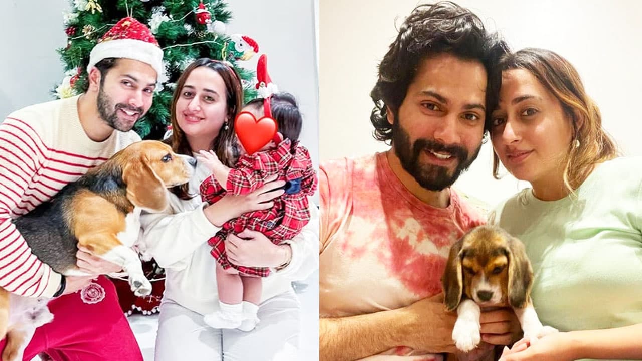 কন্যাশিশু লারা নয়, বরুণের প্রথম সন্তান পোষা কুকুর!- খবরের থাম্বনেইল ফটো